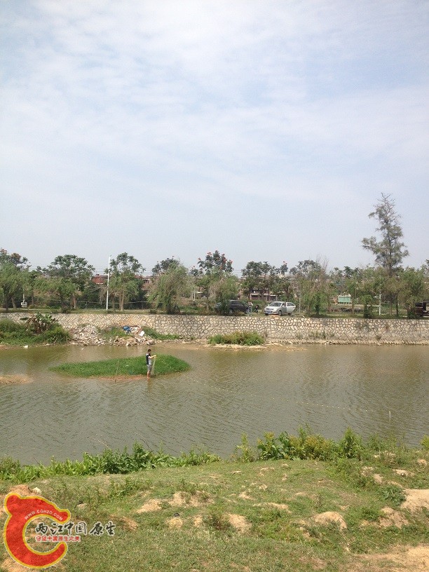 IMG_8340.JPG