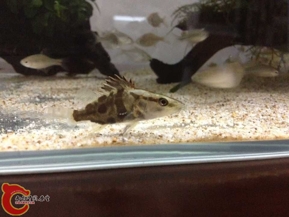 QQ图片20150622193342.jpg