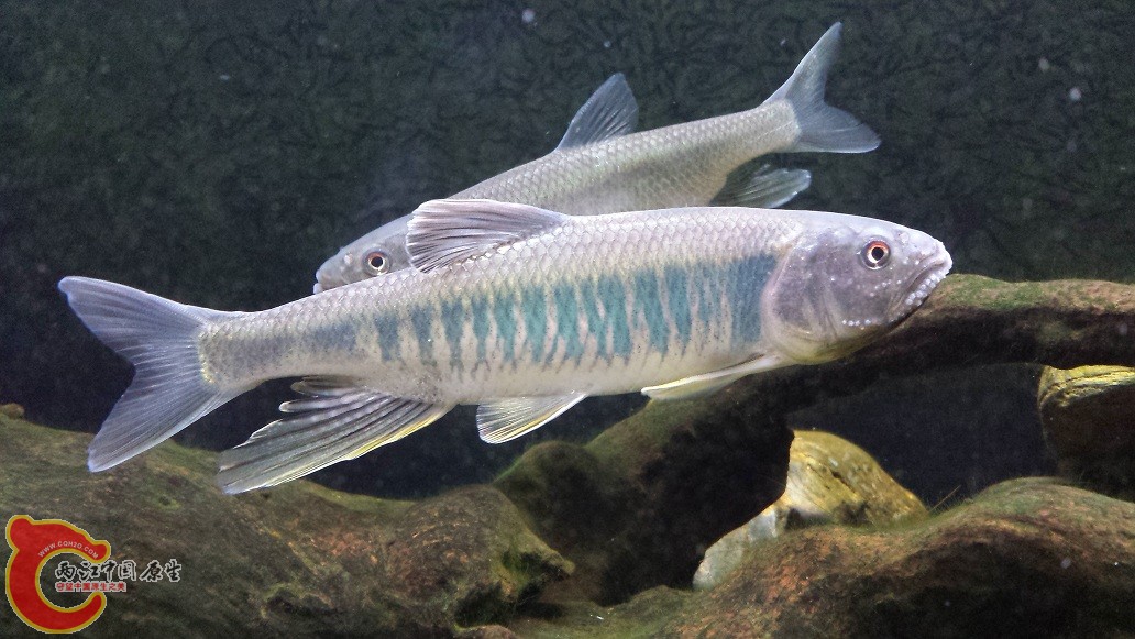 20150619_213409.jpg