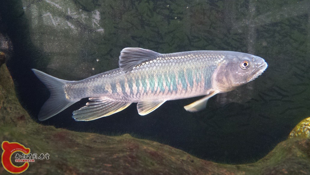 20150623_153225.jpg