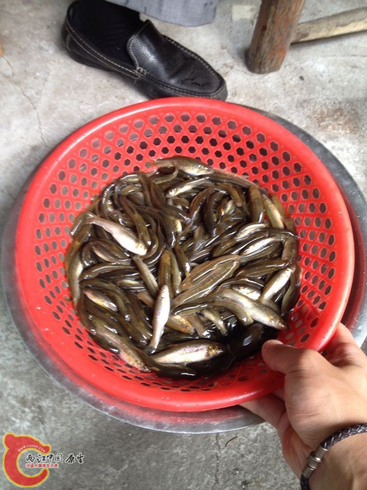 QQ图片20150624095233.jpg
