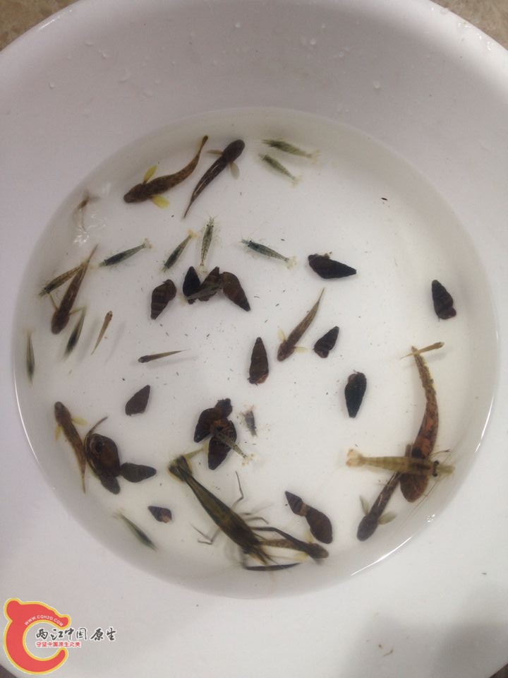 QQ图片20150624095157.jpg