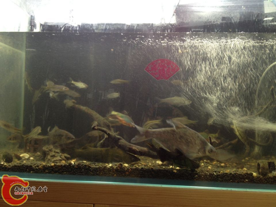 QQ图片20150624095152.jpg