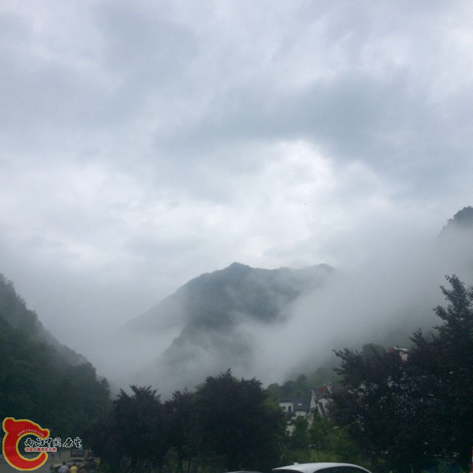 QQ图片20150624095111.jpg