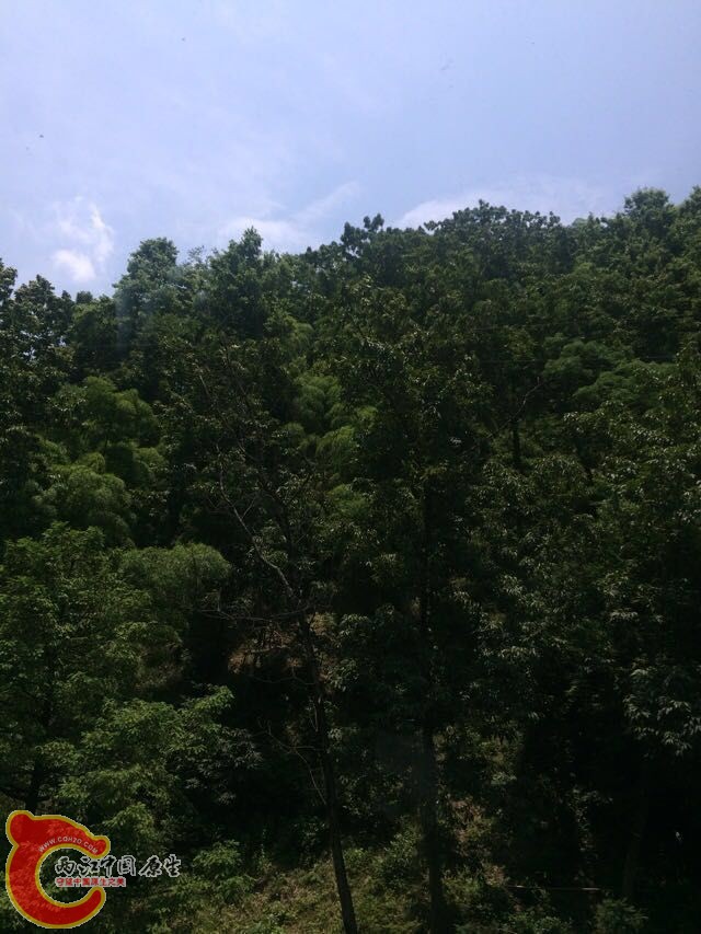 QQ图片20150624095123.jpg