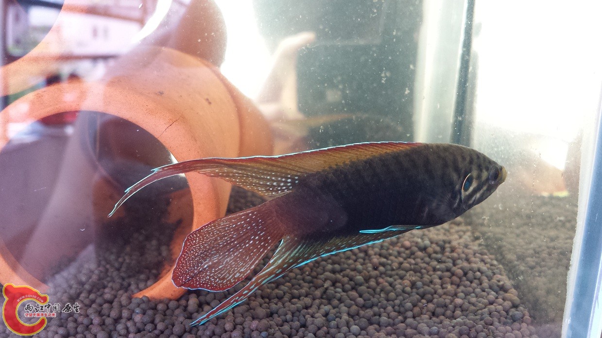 20150624_132620.jpg