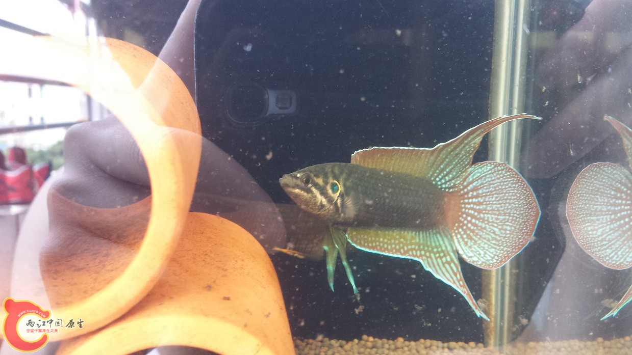 20150624_132956.jpg