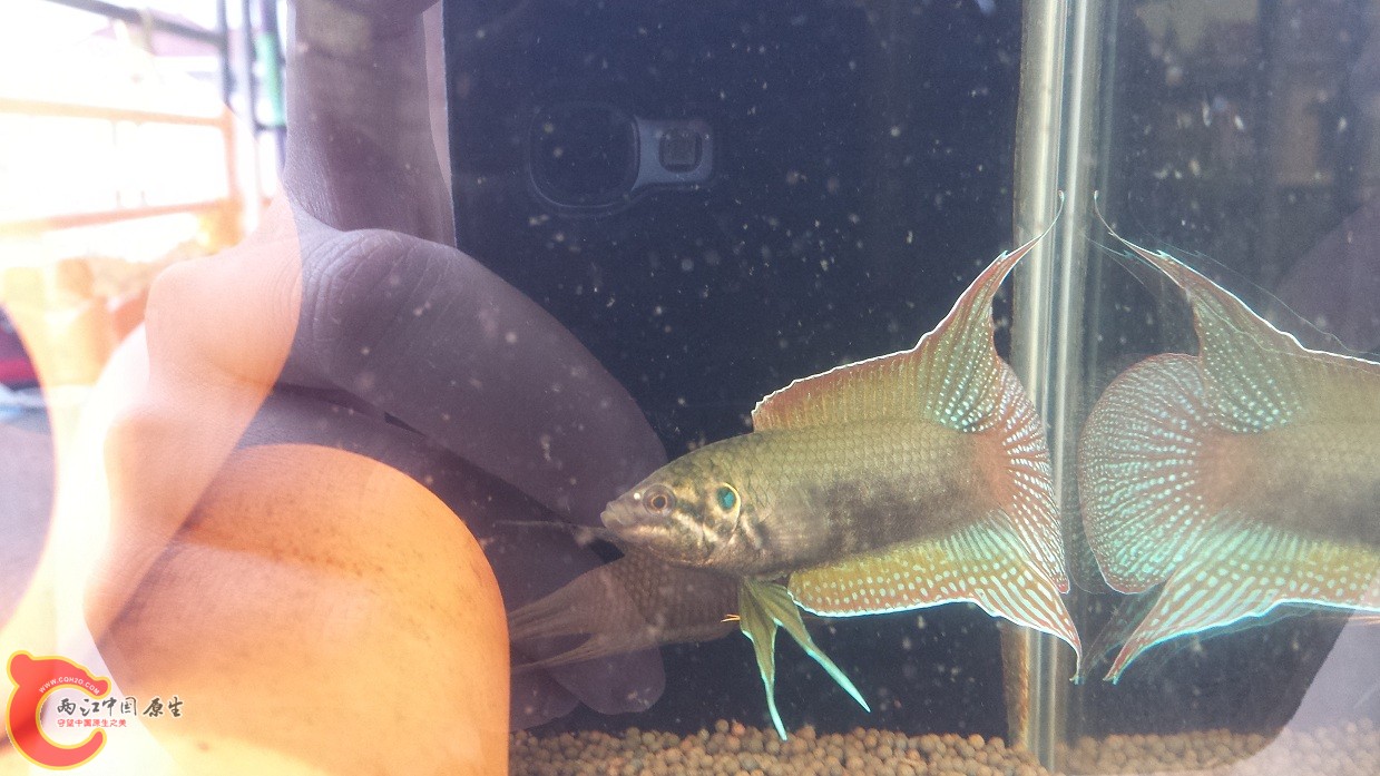20150624_133042.jpg