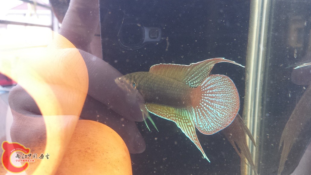 20150624_133220.jpg