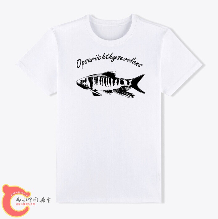 白色款效果