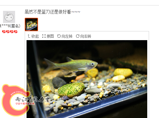 QQ图片20150626164536.png