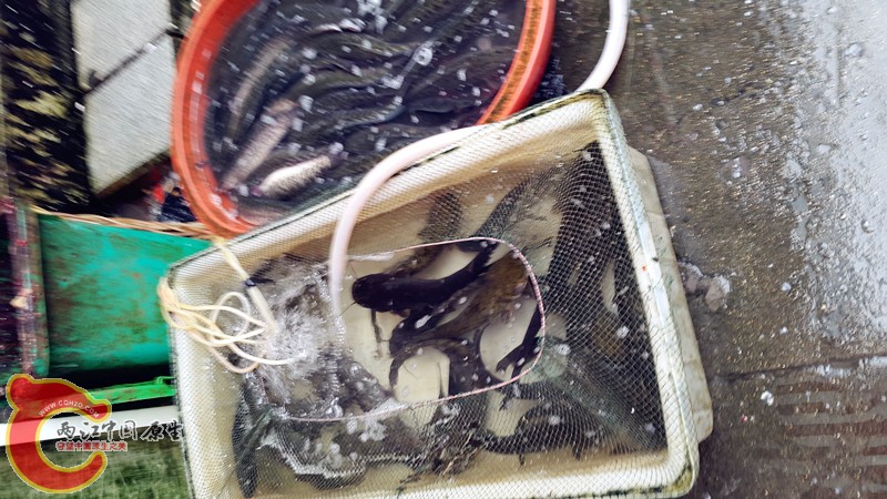 20150614_094116.jpg