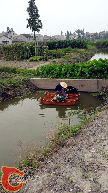 20150613_131218.jpg