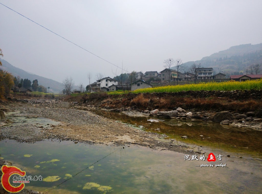 IMG_20140214_111906.jpg