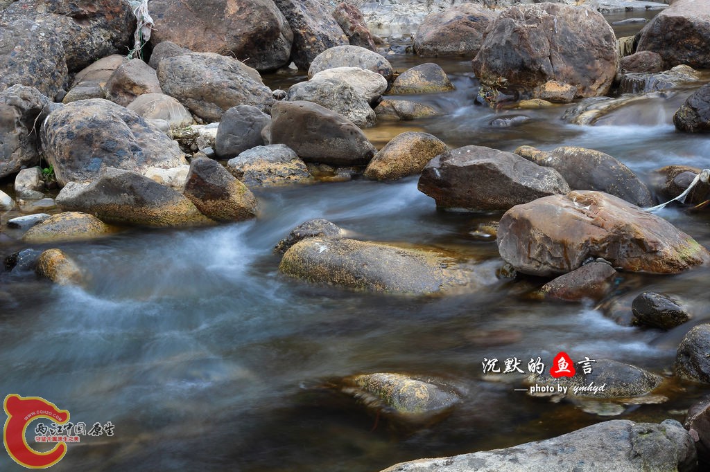 _MG_4958.jpg