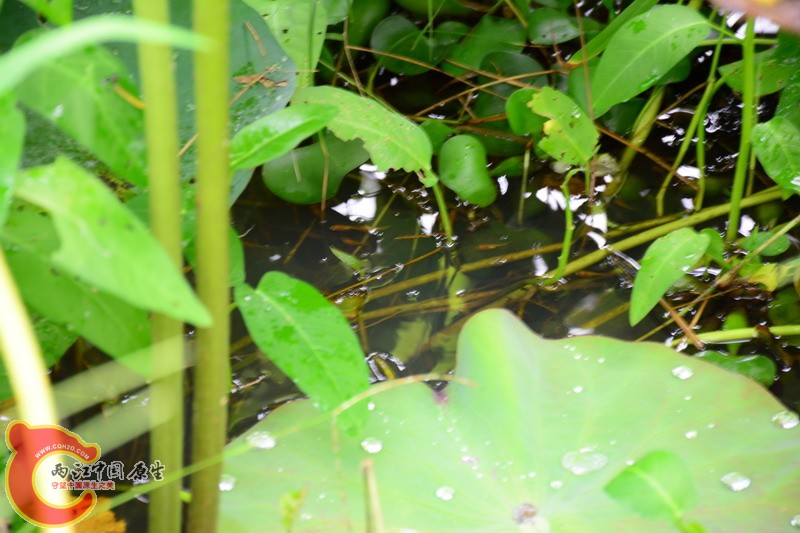 照片 453.jpg