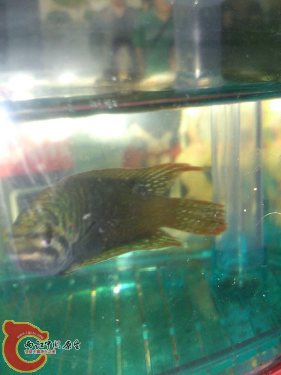 DSC_1412.jpg