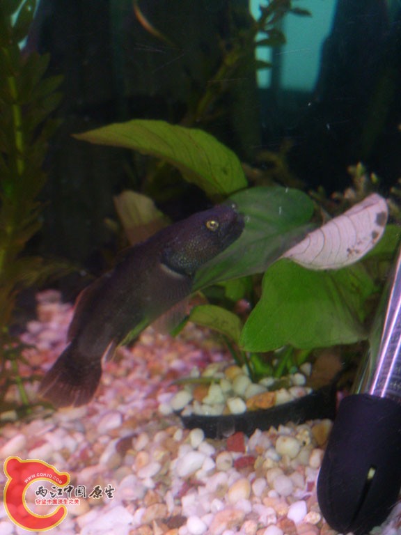 DSC_1456.jpg