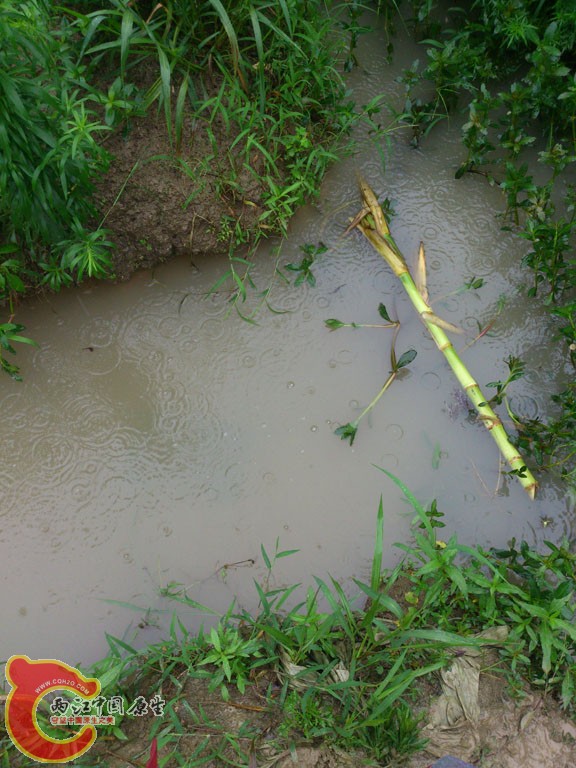 DSC_1553.jpg