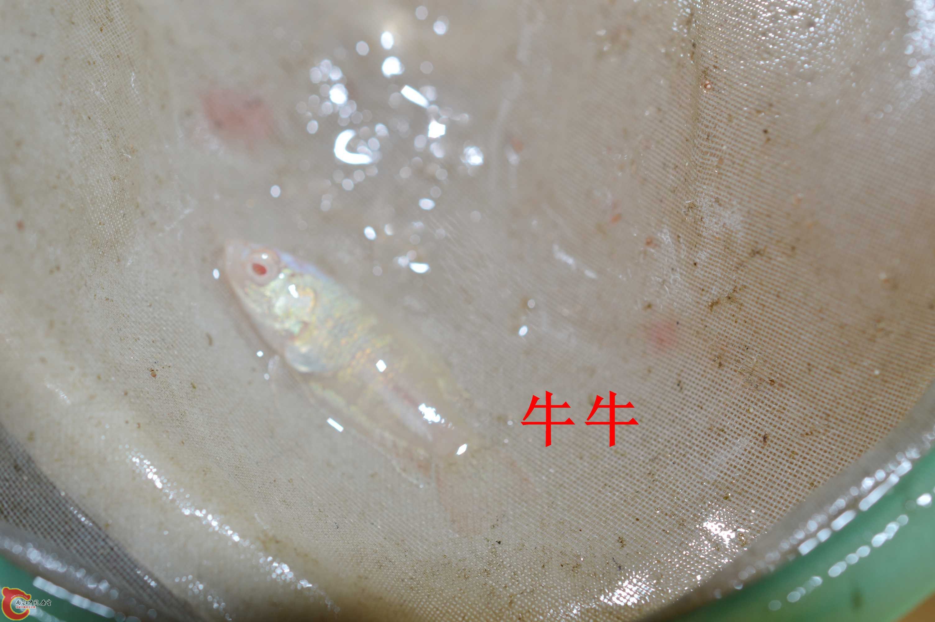 DSC_0004.jpg