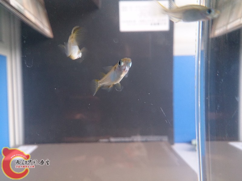DSC_1496_副本.jpg