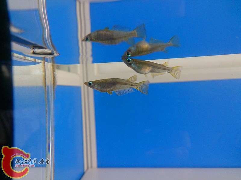 DSC_1601_副本.jpg