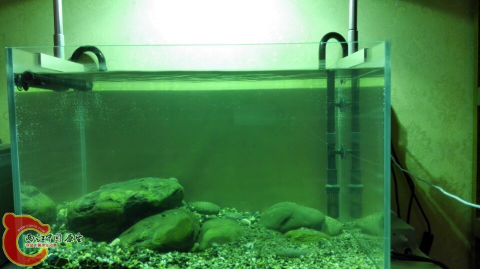 群友指点下重新布景