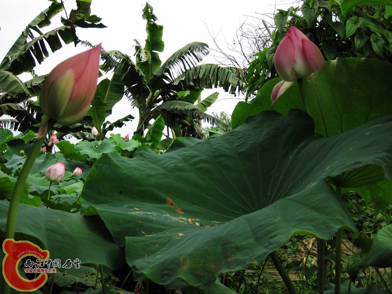IMG_0017.jpg