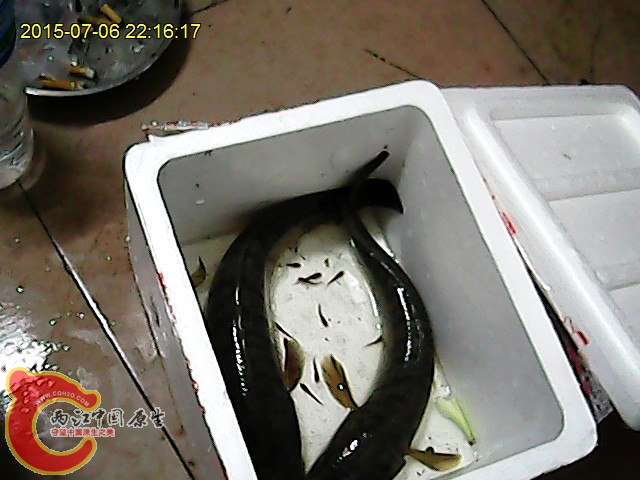 照片2015-07-06 22 16 17 764.jpg