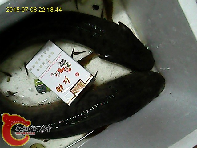 照片2015-07-06 22 18 44 156.jpg