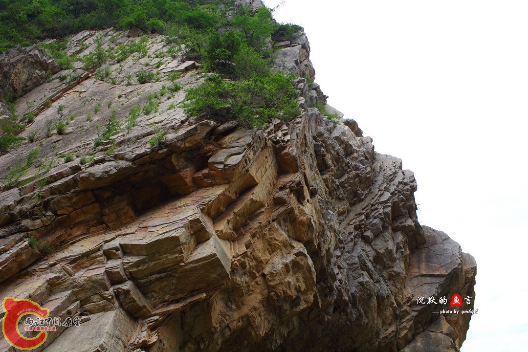 _MG_0007.jpg