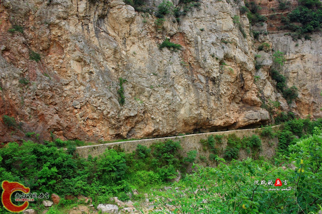 _MG_0009.jpg