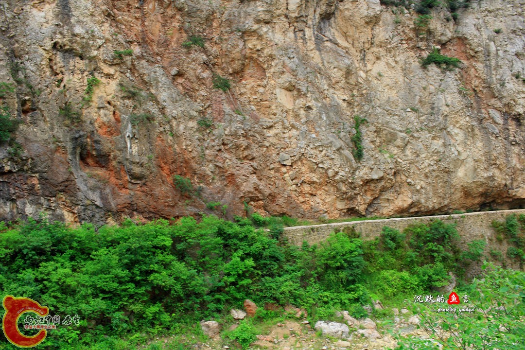 _MG_0011.jpg