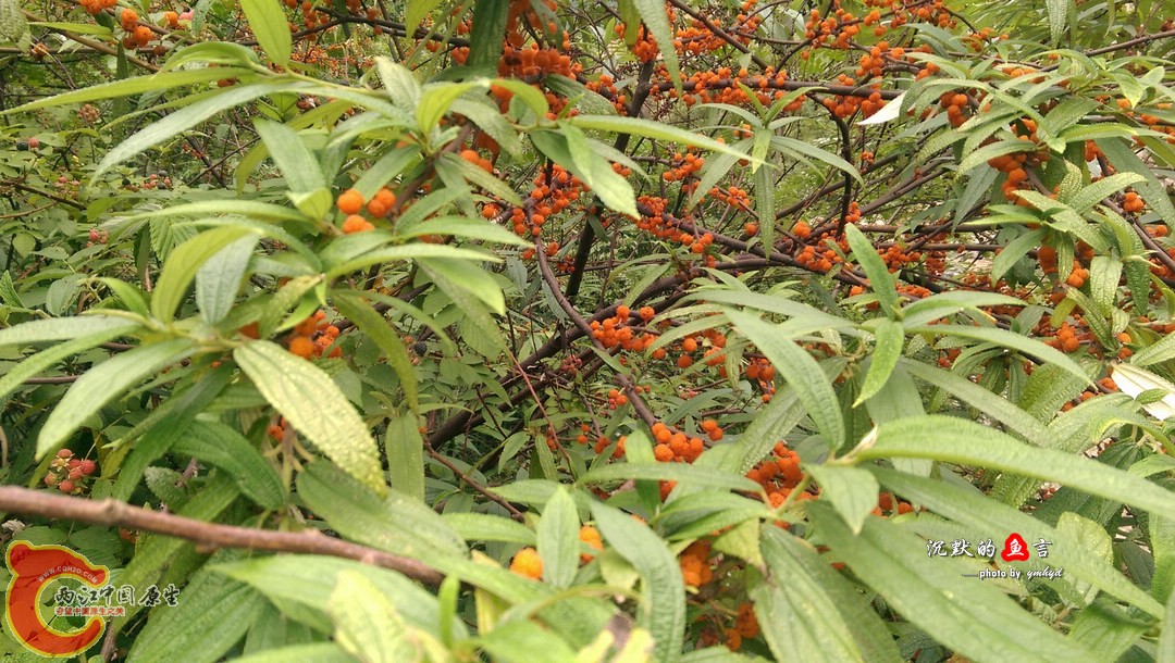 IMAG0443.jpg