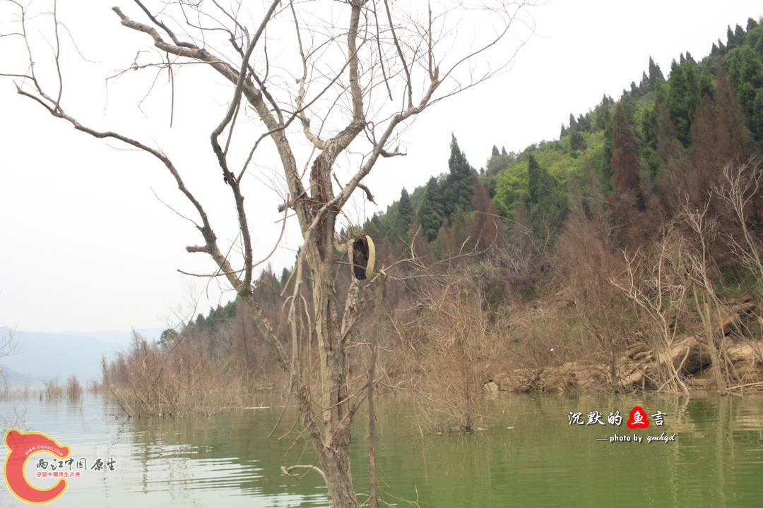 _MG_0119.jpg