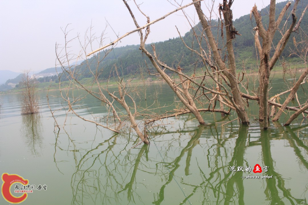 _MG_0115.jpg