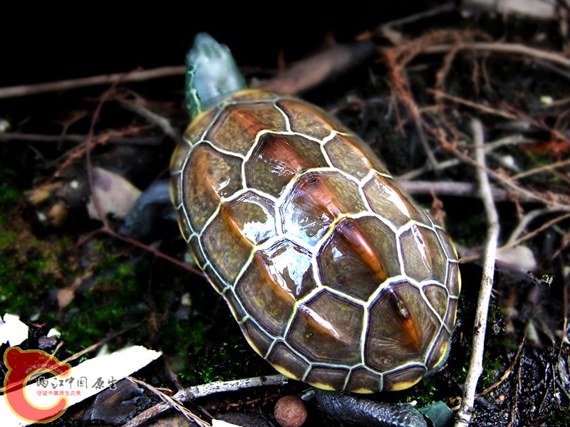 DSCF6362.JPG