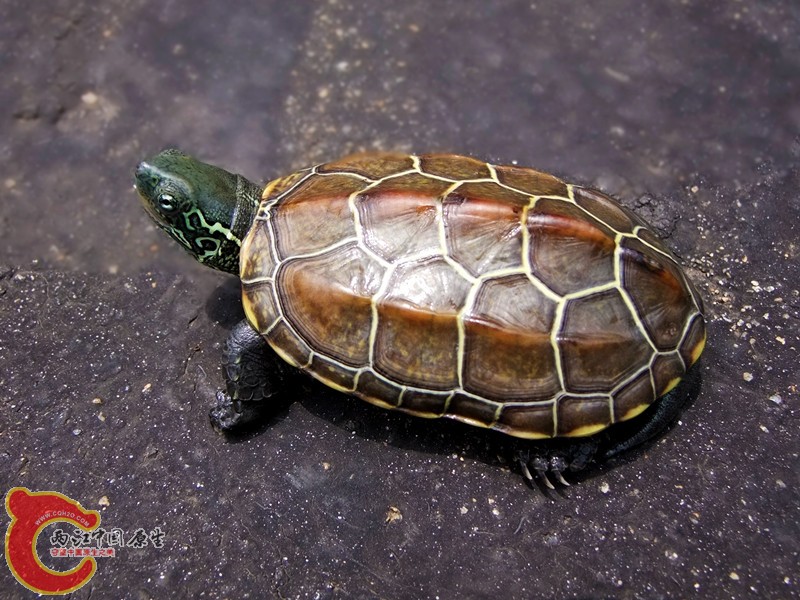 DSCF6370.JPG