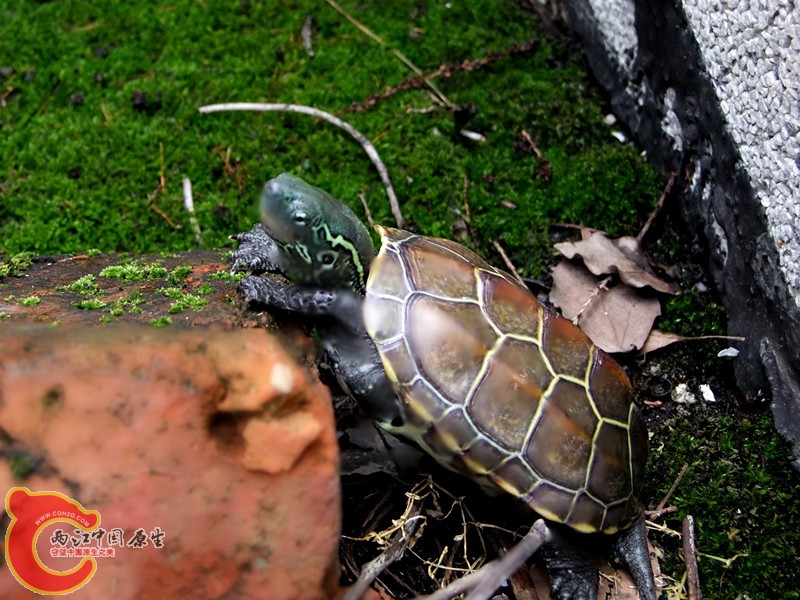 DSCF6374.JPG