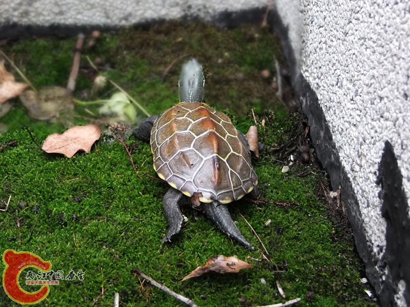 DSCF6377.JPG