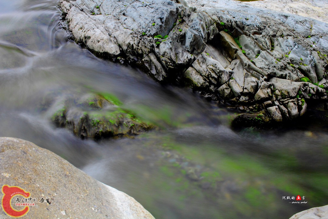 _MG_0139.jpg