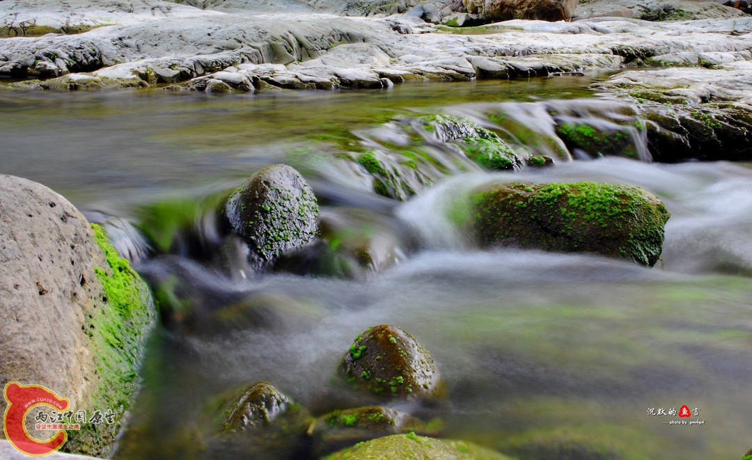 _MG_0151.jpg