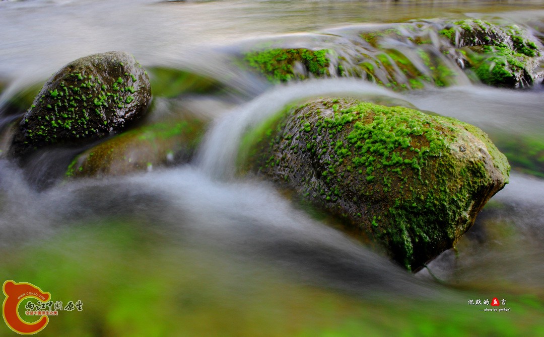 _MG_0155.jpg