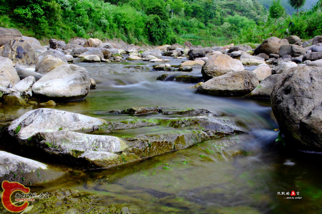_MG_0172.jpg