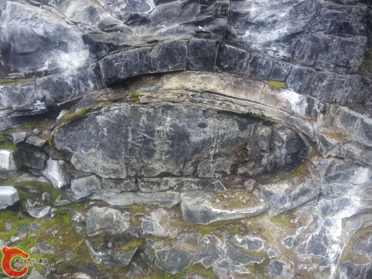 好像被包着