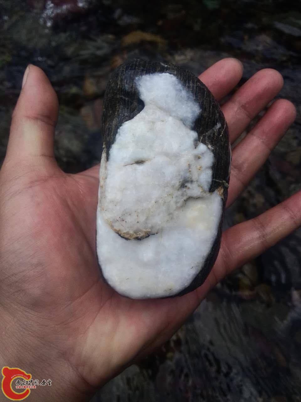 石头5