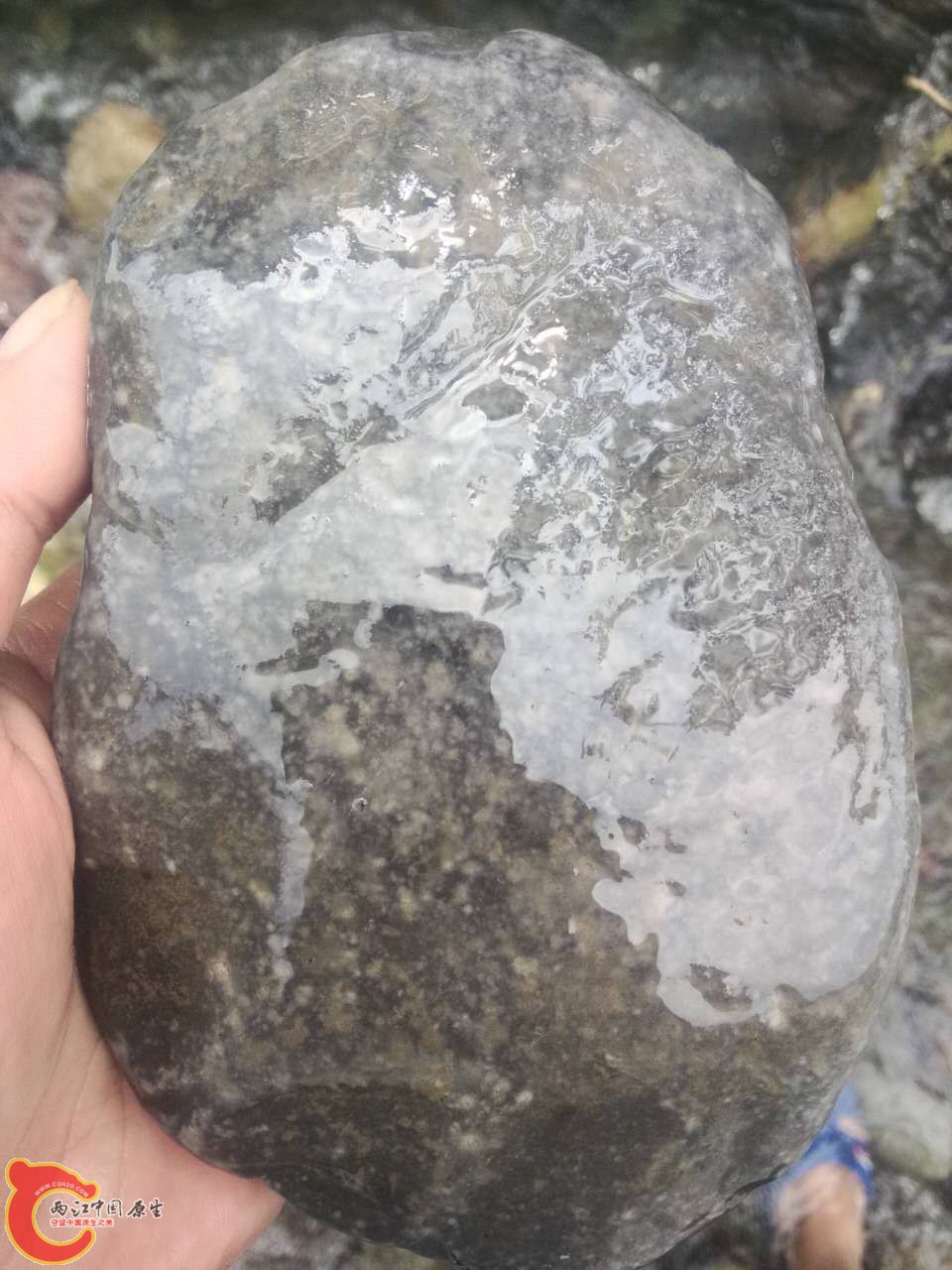 石头14