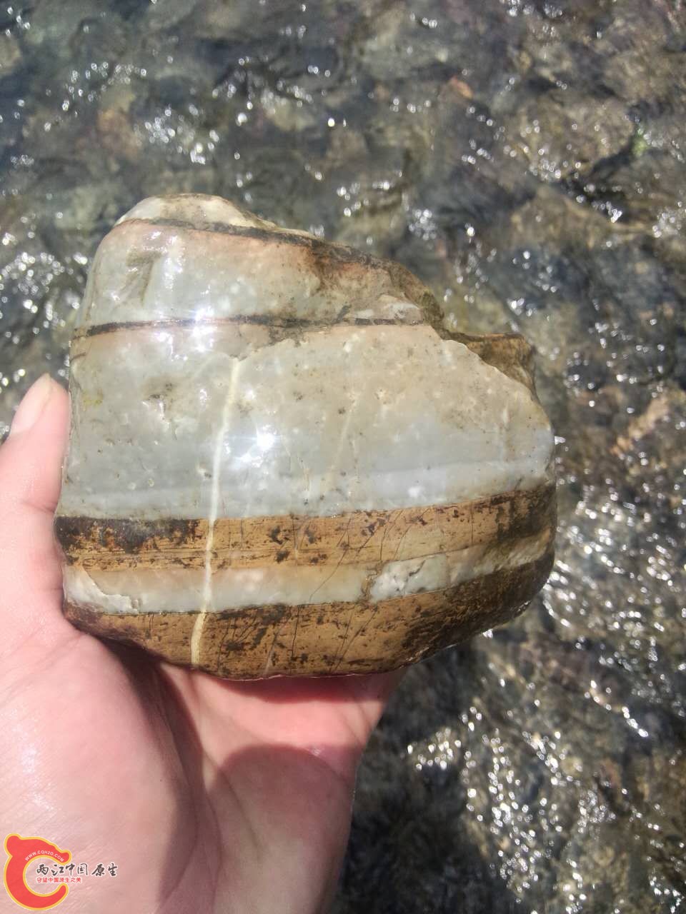 石头15