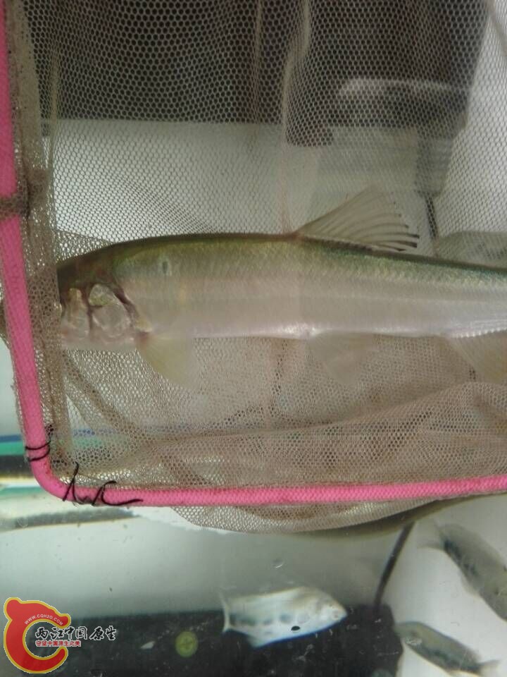 QQ图片20150720153542.jpg