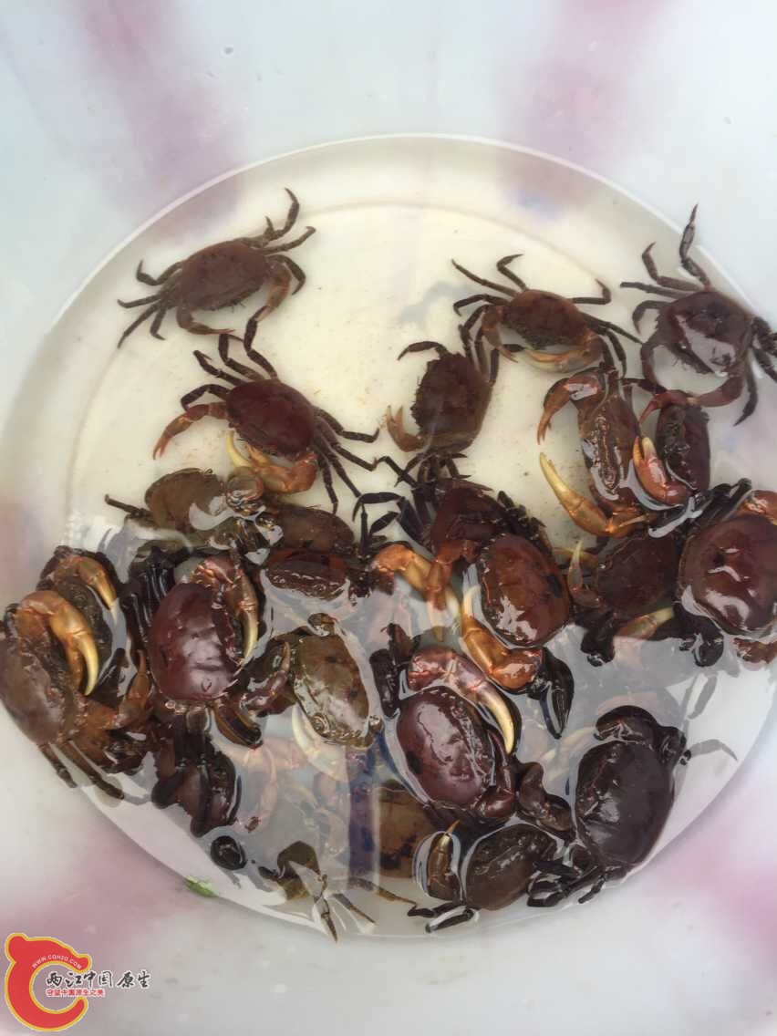 QQ图片20150720172147.jpg